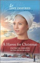 Book cover photo for A Haven for Christmas
