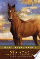 Book cover photo for Sea Star: Orphan of Chincoteague