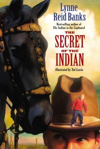 Book cover photo for The Secret of the Indian