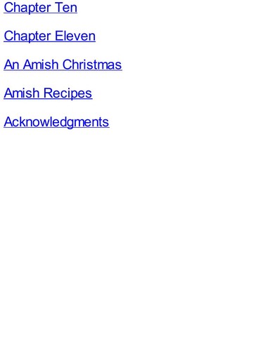 Book cover photo for An Amish Christmas: December in Lancaster County