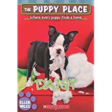 Book cover photo for Daisy (The Puppy Place #38)