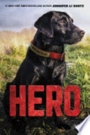 Book cover photo for Hero