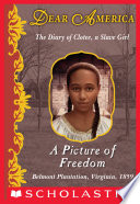 Book cover photo for A Picture of Freedom