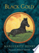 Book cover photo for Black Gold