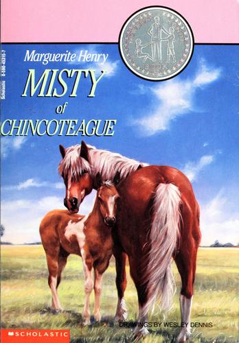Book cover photo for Misty Of Chincoteague (Misty, #1)