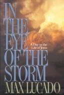 Book cover photo for In the Eye of the Storm: A Day in the Life of Jesus