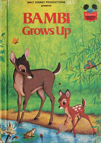 Book cover photo for Bambi Grows Up