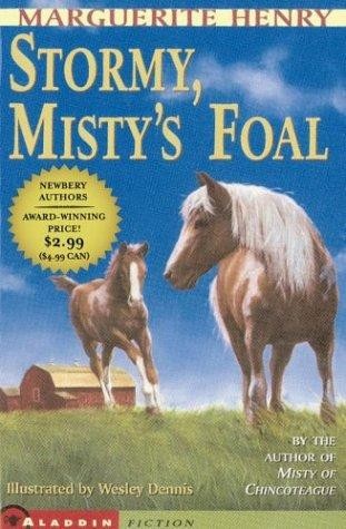 Book cover photo for Stormy, Misty's Foal (Misty, #3)
