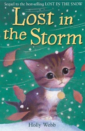 Book cover photo for Lost In The Storm