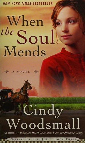 Book cover photo for When the Soul Mends